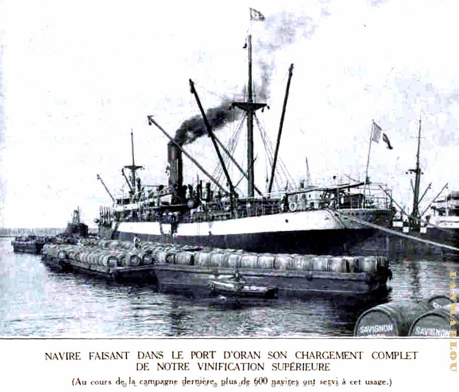 PO e- 371.jpg